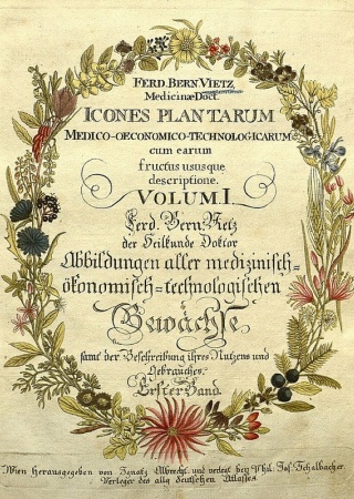 Icones plantarum medico-oeconomico-technologicarum cum earum fructus ususque descriptione