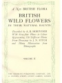 A new British flora: British wild flowers in their natural haunts